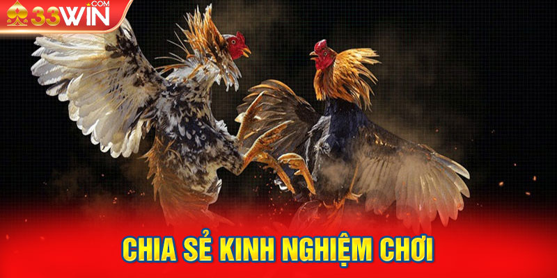 Chia sẻ kinh nghiệm chơi