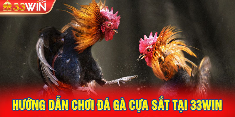 Hướng dẫn chơi đá gà cựa sắt tại 33Win