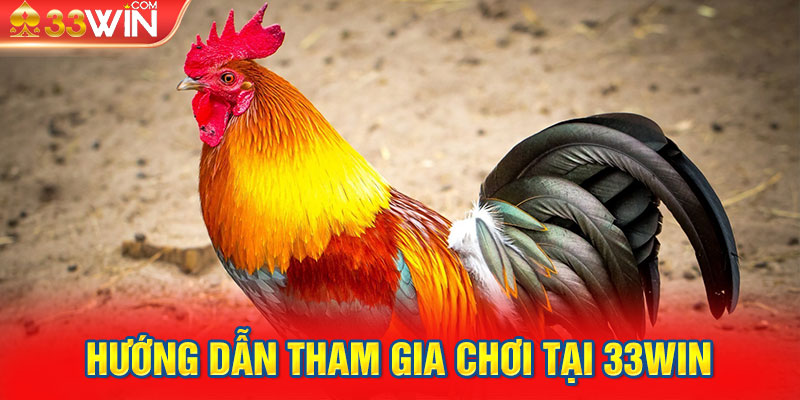 Hướng dẫn tham gia chơi tại 33Win